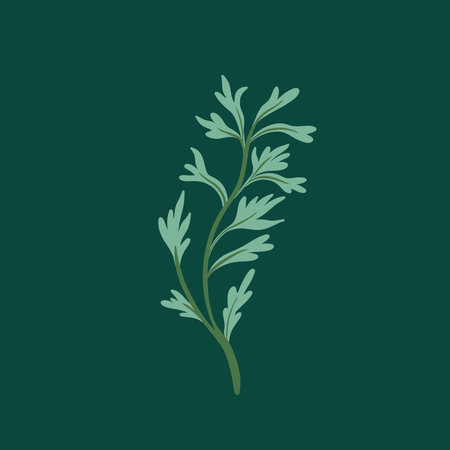 Collection of elegant beautiful tropical plants isolated on background. Cute leaves for decorative design elements.のイラスト素材