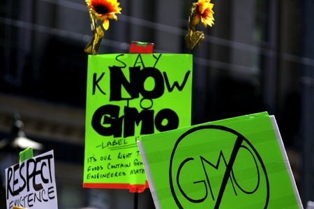 TORONTO-MAY 25: A banner asking to put label on foods to clarify if it has Genetically modified material during a rally against GMO giant Monsanto on May 25, 2013 in Toronto, Canada.のeditorial素材