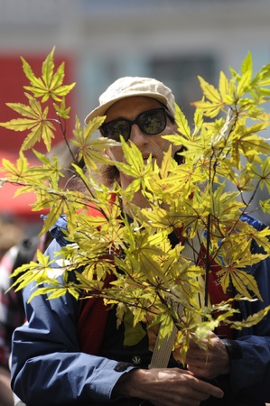 TORONTO - APRIL 20: A marijuana legalization activist with a marijuana plant during the annual marijuana 420 event at Yonge & Dundas Square on April 20 2012 in Toronto, Canada.のeditorial素材