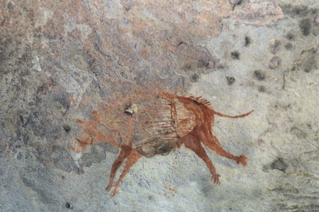 A prehistoric cave painting in Bhimbetka -India の写真素材