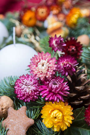 Strawflowers Xerochrysum bracteatum in christmas decor, gingerbread, candleの写真素材