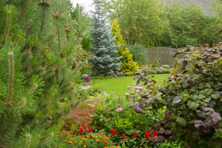 Beautiful garden with flowers and hedgeの写真素材