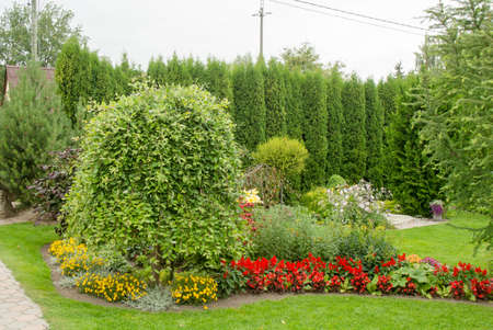 Beautiful garden with flowers and hedgeの写真素材