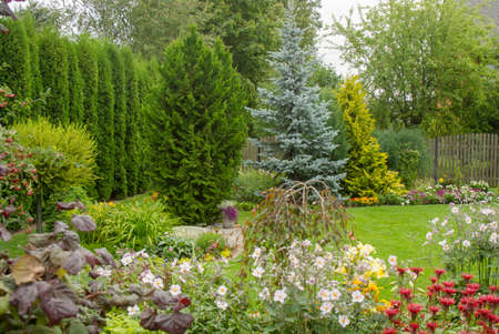 Beautiful garden with flowers, hedge and conifersの写真素材