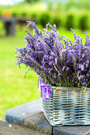 Lavender cane basketの写真素材