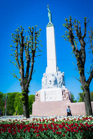 Latvia flag made in red hite red tulips at Freedom monument in Rigaのeditorial素材