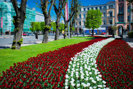 Latvia flag made in red hite red tulips at Freedom monument in Rigaのeditorial素材