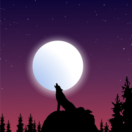 Wolf Sihouette in Nature
