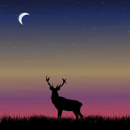 Animal Sihouette in Natureのイラスト素材