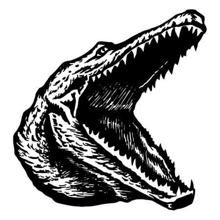 hand drawn vector sketch silhouette linear illustration of alligator crocodile widely slack jawsのイラスト素材