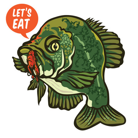 Crappie fish vector illustration, good for tshirt, sticker, competition and event logo designのイラスト素材