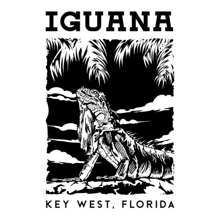 Iguana vector illustration, perfect for Reptile Shop logo and Tshirt designのイラスト素材