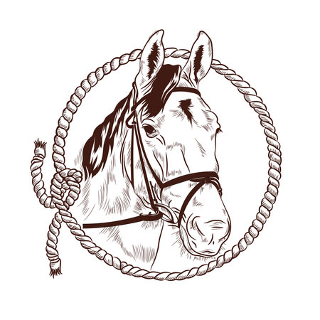 Horse and Rope in hand drawn style, perfect for horse stable, horse farm and tshirt designのイラスト素材