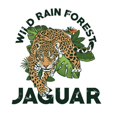 Wild Rain forest Jaguar, perfect for Tshirt design and Wildlife Research and Foundation logo