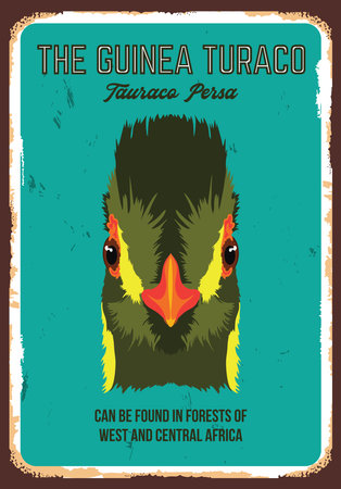 Green Turaco bird vector illustration in decorative style, perfect for tshirt design, vintage poster and mascot logoのイラスト素材