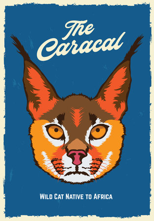 Caracal face vector iilustration in poster vintage style, perfect for tshirt design and wall decorのイラスト素材