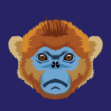 Cute and colorful Monkey face vector illustration in decorative style, perfect for tshirt design and mascot logoのイラスト素材