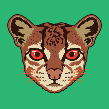 Kodkod face vector illustration in decorative style, perfect for tshirt design and mascot logoのイラスト素材