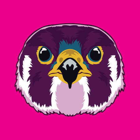 Falcon face vector illustration in decorative style, perfect for tshirt design and mascot logoのイラスト素材
