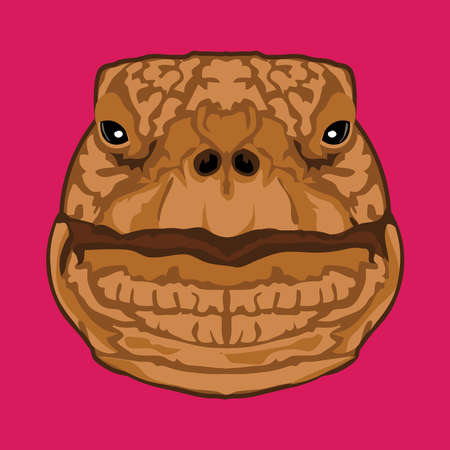 Tortoise  face vector illustration in decorative style, perfect for tshirt style and mascot logoのイラスト素材