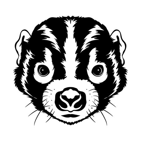 Skunk face vector illustration in comic style, perfect for t shirt and mascot designのイラスト素材