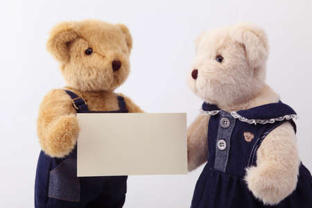 couples of teddy bear and blank cardの写真素材