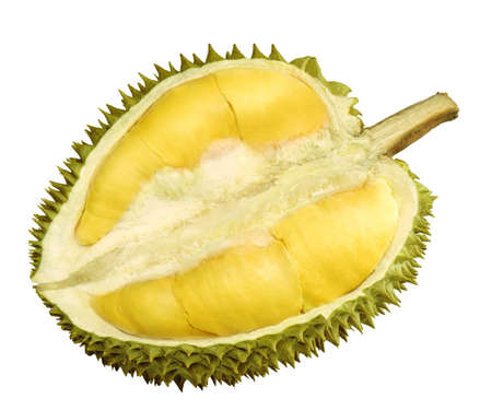 Durian                                の写真素材