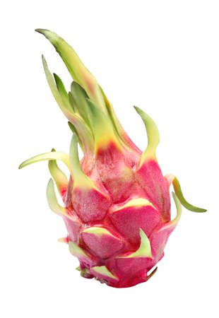 Dragon Fruitの写真素材