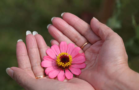 flower on hand