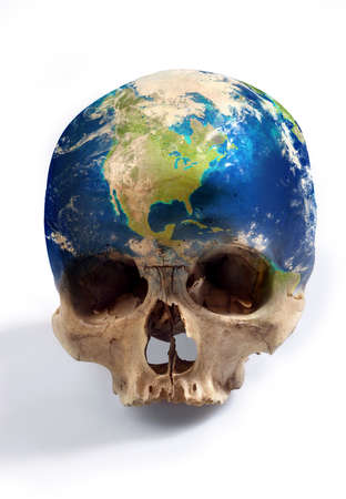 The real skullの写真素材