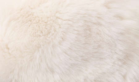 fur texture