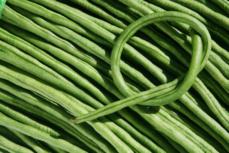 long beanの写真素材