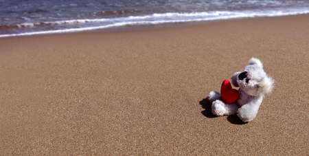 lonely dolls on beachの写真素材