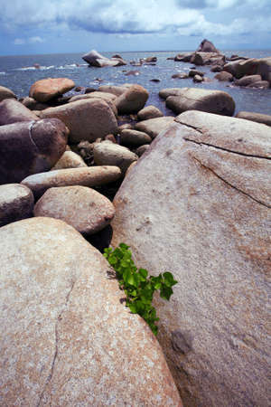 Sea Viewの写真素材