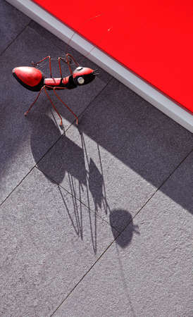 ants colony made of wood and aluminumの写真素材