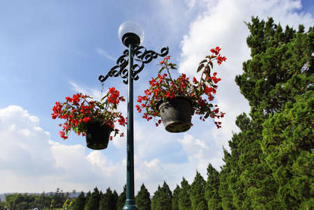 gardenの写真素材