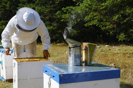 Beekeeper produce honey holding beehive and steamの写真素材