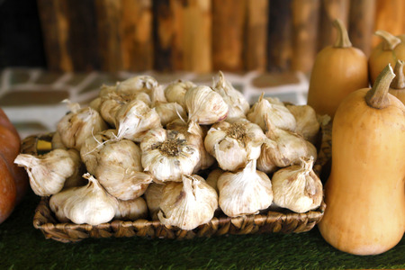 Garlic and pumpkin in grocery shopの写真素材