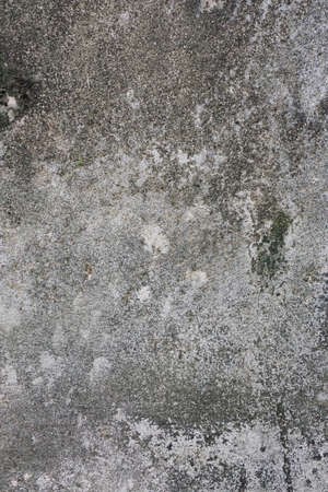 concrete texture, old concrete background, Gray wall with white painted and grunge. abstract background. Space for text in template. stone wall. rock, empty.の写真素材