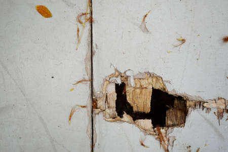 White wood plank as background. Grunge texture wallpaper. Peeling paint on an old wooden floor....