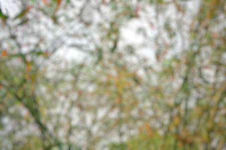 Abstract colorful background. green and red wallpaper. Space for text in template. Empty concept.の写真素材