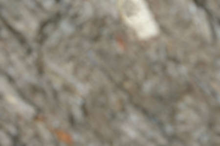 Abstract background. blurred background. Space for text in template.の写真素材