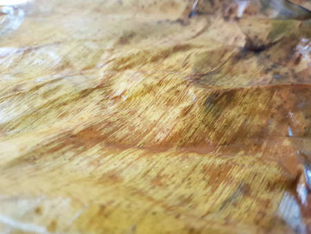 Close up of dry banana leaves isolated on white background, Space for text in template, Emptyの写真素材