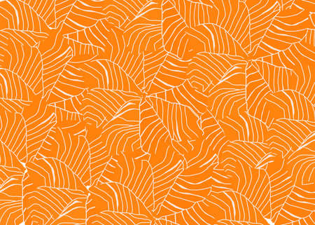 Hand drawn, Salmon sliced or Sashimi as a background