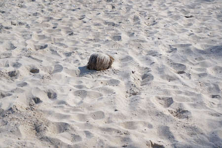 Abstract, Sand texture abstract background, Sandy beach for background, Top view, space for your...