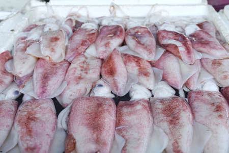 Too soft, fresh squid on ice as a background for sale in the fish market at Thailand, Top view of...