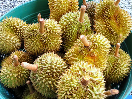 Top view of durian fruit in basket for sale in the market, Tropical fruit, copy space (Malvaceae,...