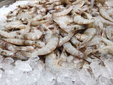 Selective focus of fresh prawns for sale in the fish market, seafood on ice, fresh shrimp seafood product, Too soft, space for your textの写真素材