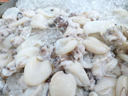 Selective focus of rab squid clean in the fish market, seafood on ice, Squid abstract background,...