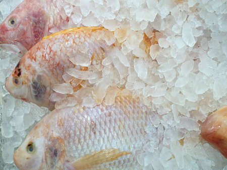 Top view of fresh red tilapia for sale in the fish market at Thailand, seafood as a background...